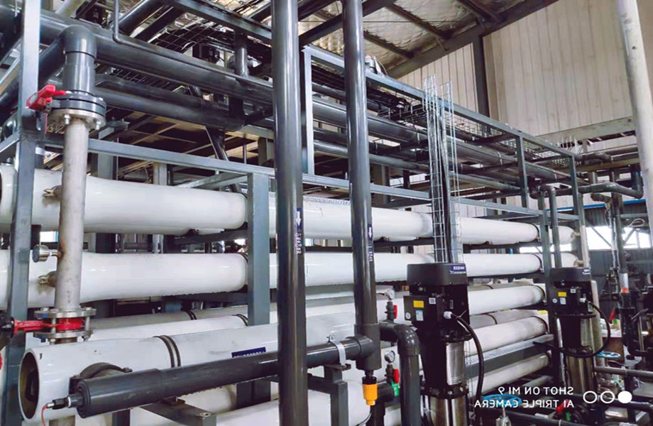 1641362775263829.jpg 1_副本.jpg