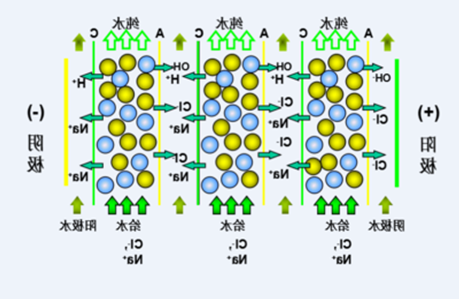 1641362928994556.png 6_副本.png