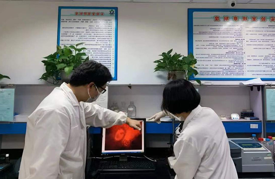 1641440023214583.jpg 副本4.jpg