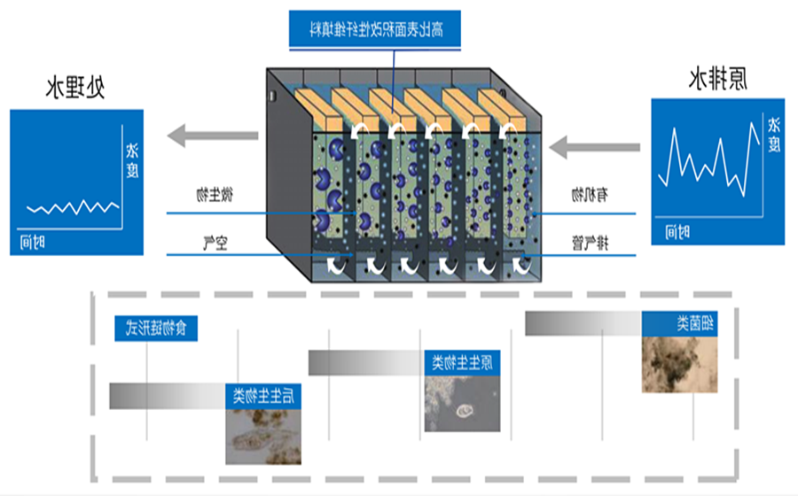 1652686149611847.png 1652237153(1)_副本.png