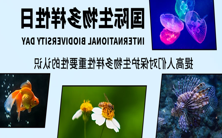 1653444774143988.png 图怪兽_61c721cf9488223326f65d467115ab86_93901.png