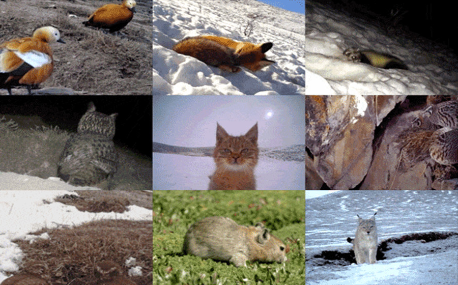 1653444893772057.jpg 08_副本.jpg