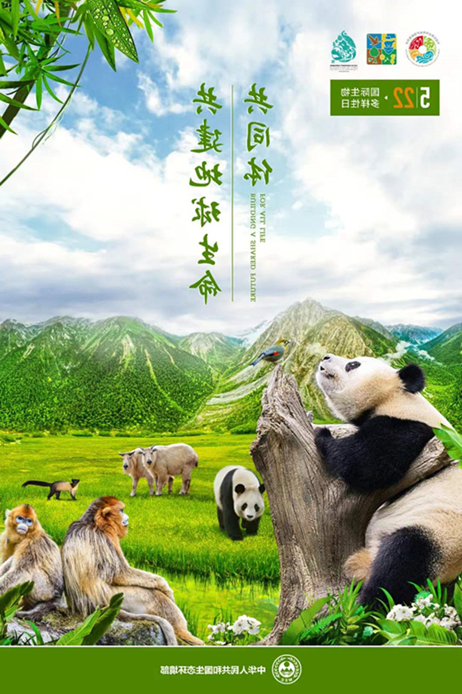 1653445034712145.jpg 323c20f8757660178ea0451958124e4.jpg